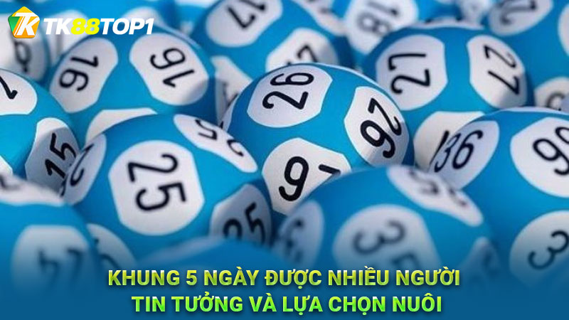 Khung 5 ngày được nhiều người tin tưởng và lựa chọn nuôi