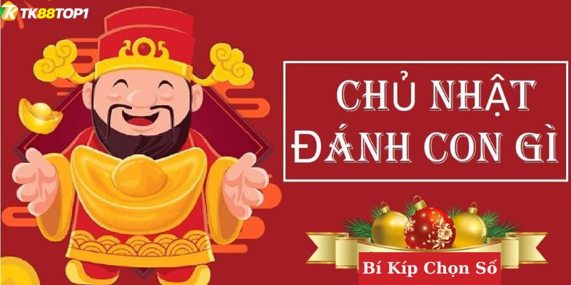 Một số sai lầm khi soi cầu chủ nhật đánh con gì